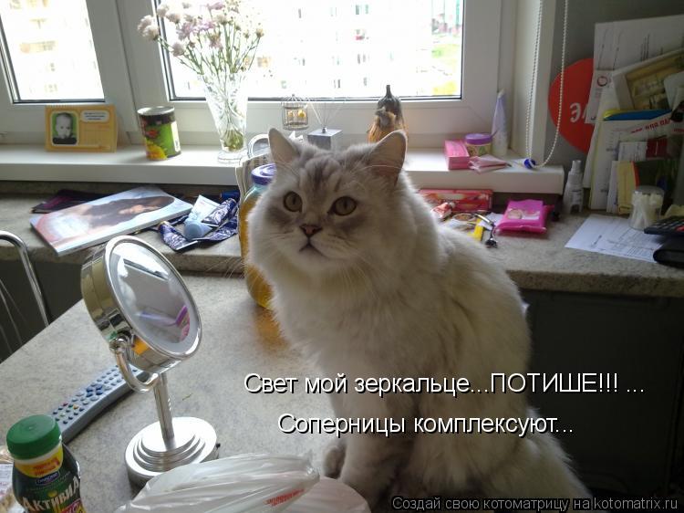 Котоматрица: Свет мой зеркальце...ПОТИШЕ!!! ... Соперницы комплексуют...