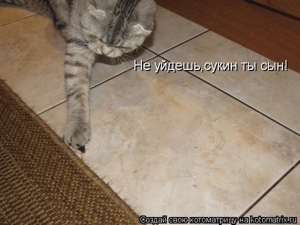 Котоматрица: Не уйдешь,сукин ты сын!