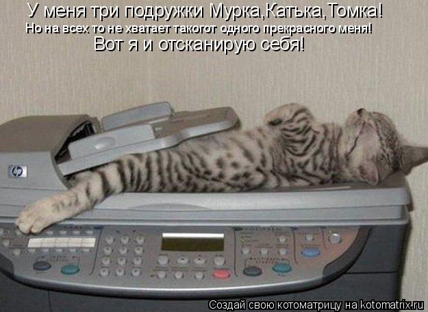 Котоматрица: У меня три подружки Мурка,Катька,Томка! Но на всех то не хватает такогот одного прекрасного меня! Вот я и отсканирую себя!