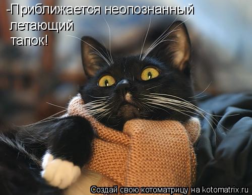 Котоматрица: -Приближается неопознанный летающий тапок!