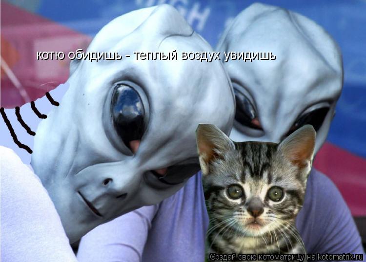Котоматрица: котю обидишь - теплый воздух увидишь