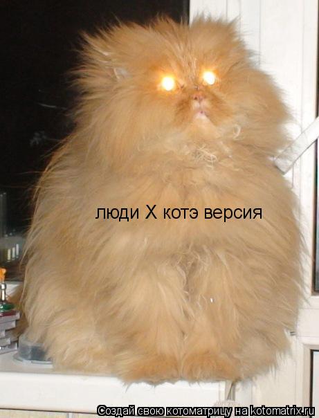 Котоматрица: люди X котэ версия