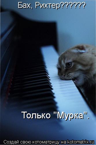 Котоматрица: Бах, Рихтер?????? Только "Мурка".