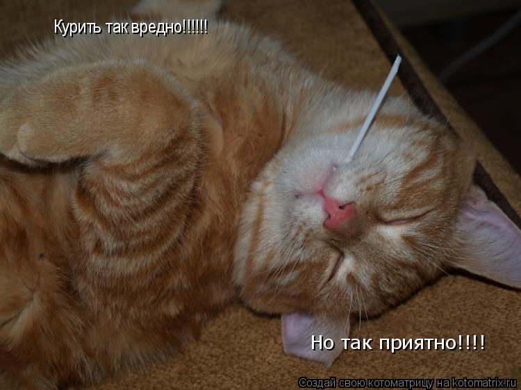 Котоматрица: Курить так вредно!!!!!! Но так приятно!!!!
