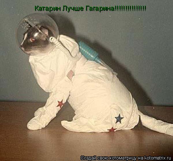 Котоматрица: Катарин Лучше Гагарина!!!!!!!!!!!!!!!