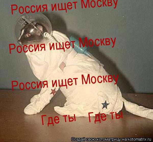 Котоматрица: Россия ищет Москву Россия ищет Москву Россия ищет Москву Где ты Где ты