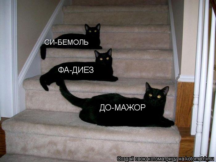 Котоматрица: ДО-МАЖОР ФА-ДИЕЗ СИ-БЕМОЛЬ