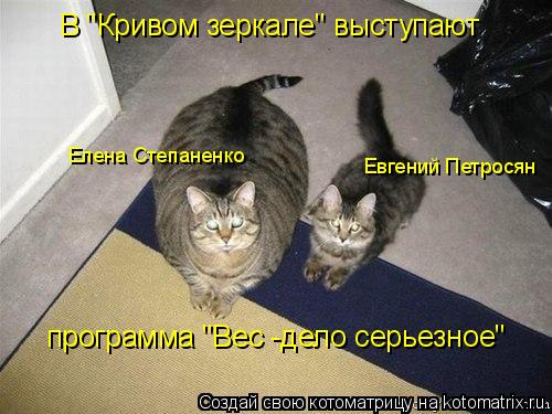 Котоматрица: В "Кривом зеркале" выступают Елена Степаненко Евгений Петросян программа "Вес -дело серьезное"