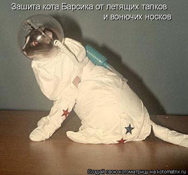 Котоматрица: Зашита кота Барсика от летящих тапков и вонючих носков