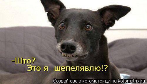 Котоматрица: -Што? Это я  шепелявлю!?