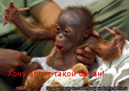 Котоматрица: Хочу вооот такой банан!