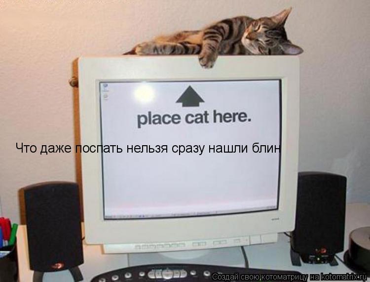 Котоматрица: Что даже поспать нельзя сразу нашли блин