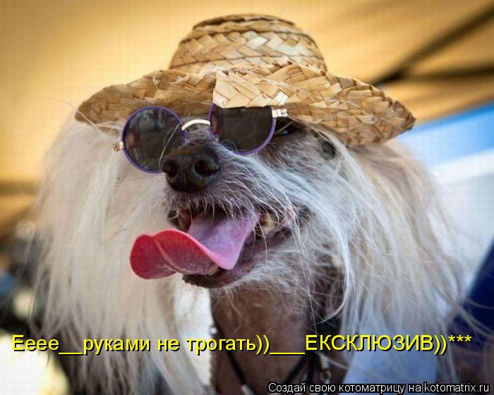 Котоматрица: Ееее__руками не трогать))___ЕКСКЛЮЗИВ))***