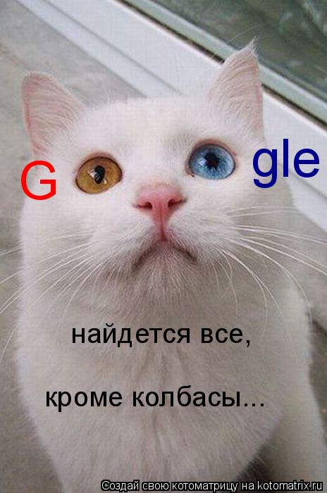 Котоматрица: G gle найдется все, кроме колбасы...