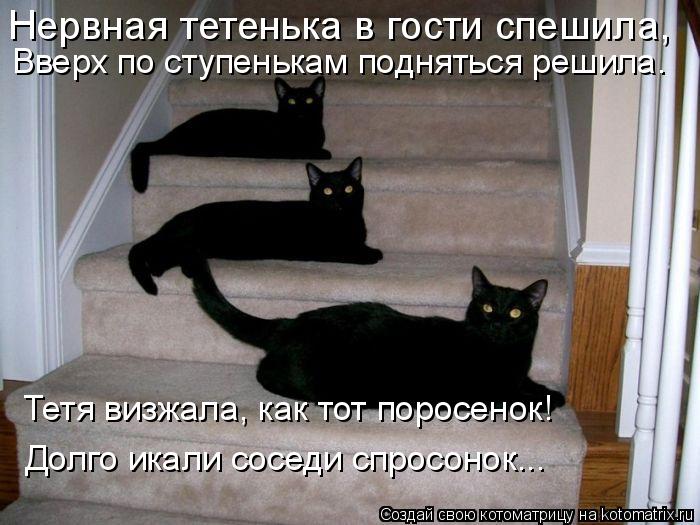 Нервная тетенька в гости спешила, Вверх по ступенькам подняться решила. Тетя визжала, как тот поросе... Котоматрица: Нервная тетенька в гости спешила, Вверх по ступенькам подняться решила. Тетя визжала, как тот поросенок! Долго икали соседи спросонок...