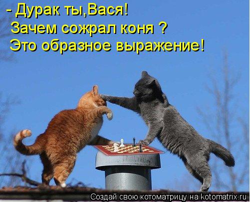 - Дурак ты,Вася! Зачем сожрал коня ? Это образное выражение!... Котоматрица: - Дурак ты,Вася! Зачем сожрал коня ? Это образное выражение!