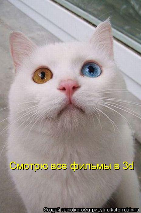 Смотрю все фильмы в 3d... Котоматрица: Смотрю все фильмы в 3d