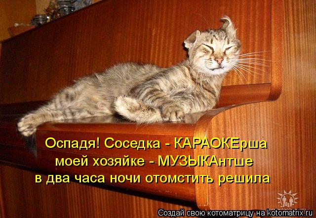 Оспадя! Соседка - КАРАОКЕрша моей хозяйке - МУЗЫКАнтше в два часа ночи отомстить решила... Котоматрица: Оспадя! Соседка - КАРАОКЕрша моей хозяйке - МУЗЫКАнтше в два часа ночи отомстить решила