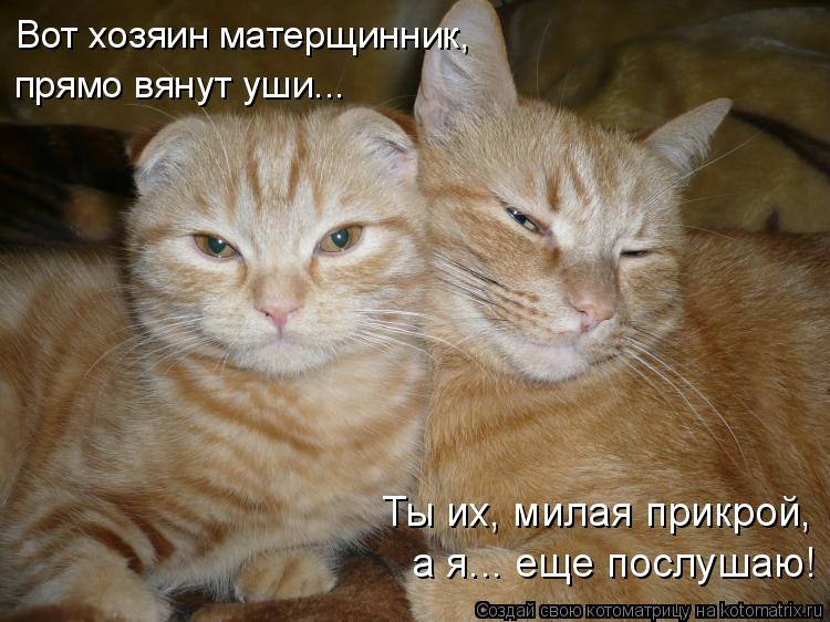 Вот хозяин матерщинник, прямо вянут уши... Ты их, милая прикрой, а я... еще послушаю!... Котоматрица: Вот хозяин матерщинник, прямо вянут уши... Ты их, милая прикрой, а я... еще послушаю!