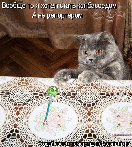 Вообще то я хотел стать колбасоедом А не репортером... Котоматрица: Вообще то я хотел стать колбасоедом А не репортером