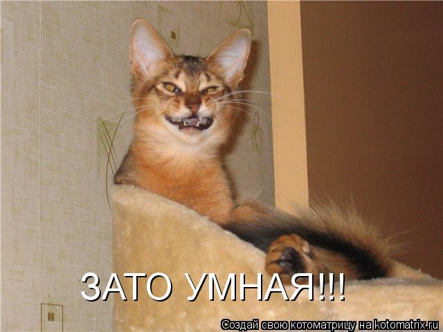 ЗАТО УМНАЯ!!!... Котоматрица: ЗАТО УМНАЯ!!!