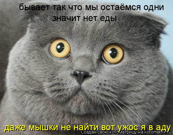 бывает так что мы остаёмся одни значит нет еды даже мышки не найти вот ужос я в аду... Котоматрица: бывает так что мы остаёмся одни значит нет еды даже мышки не найти вот ужос я в аду