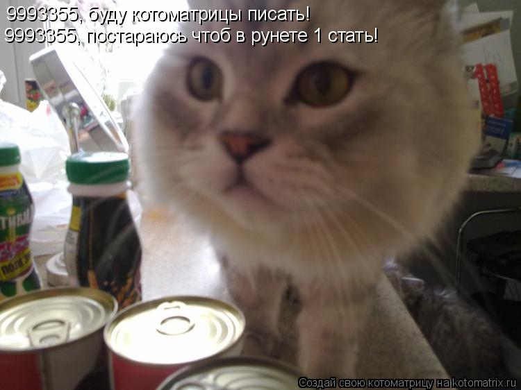 9993355, буду котоматрицы писать! 9993355, постараюсь чтоб в рунете 1 стать!... Котоматрица: 9993355, буду котоматрицы писать! 9993355, постараюсь чтоб в рунете 1 стать!