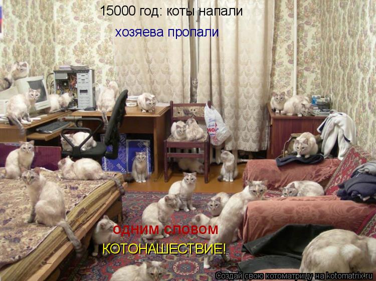 одним словом 15000 год: коты напали хозяева пропали КОТОНАШЕСТВИЕ!... Котоматрица: одним словом 15000 год: коты напали хозяева пропали КОТОНАШЕСТВИЕ!
