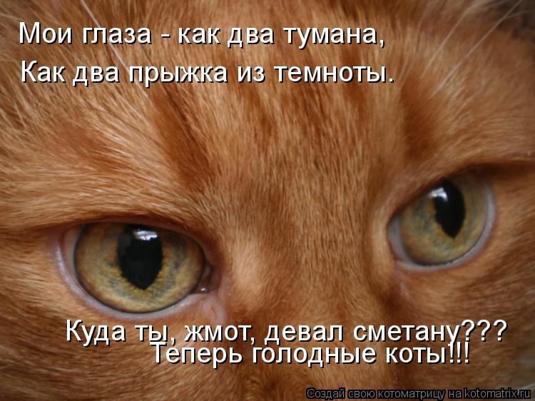 Мои глаза - как два тумана, Как два прыжка из темноты. Куда ты, жмот, девал сметану??? Теперь голодн... Котоматрица: Мои глаза - как два тумана, Как два прыжка из темноты. Куда ты, жмот, девал сметану??? Теперь голодные коты!!!