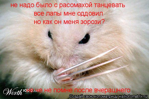 не надо было с расомахой танцевать все лапы мне оддовил все лапы мне оддовил но как он меня зорози? н... Котоматрица: не надо было с расомахой танцевать все лапы мне оддовил все лапы мне оддовил но как он меня зорози? не че не помне после вчерашнего