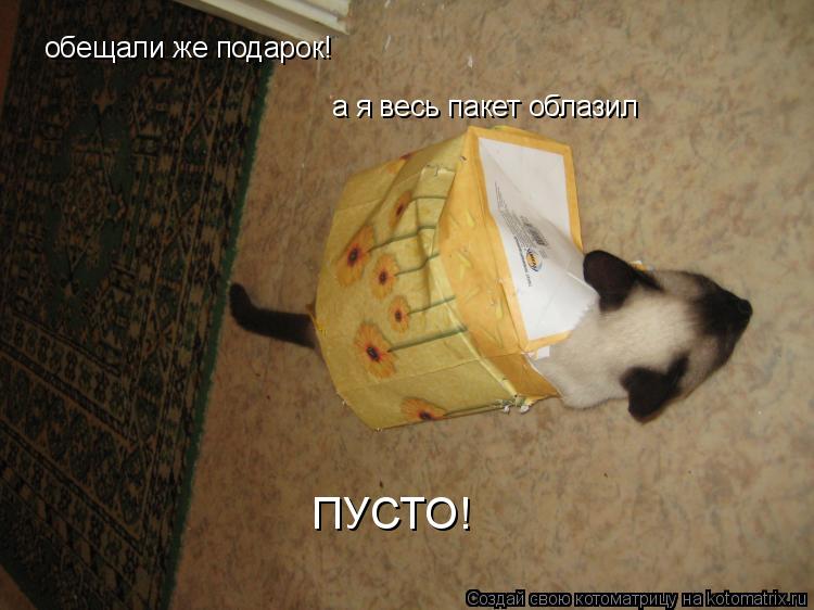 обещали же подарок! а я весь пакет облазил ПУСТО!... Котоматрица: обещали же подарок! а я весь пакет облазил ПУСТО!