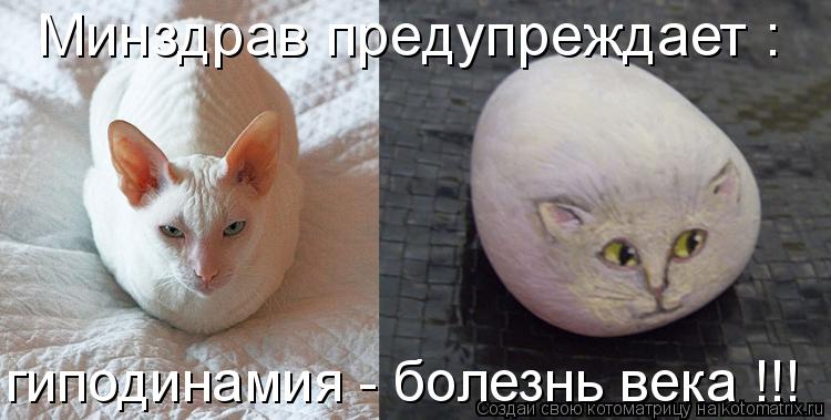 Минздрав предупреждает : гиподинамия - болезнь века !!!... Котоматрица: Минздрав предупреждает : гиподинамия - болезнь века !!!