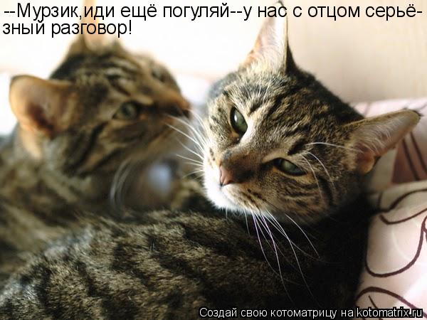 --Мурзик,иди ещё погуляй--у нас с отцом серьё- зный разговор!... Котоматрица: --Мурзик,иди ещё погуляй--у нас с отцом серьё- зный разговор!