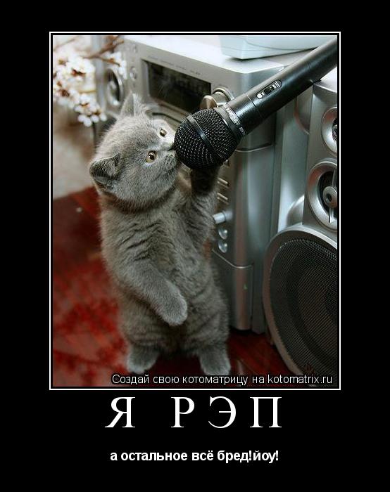 Котоматрица: я рэп а остальное всё бред!йоу!