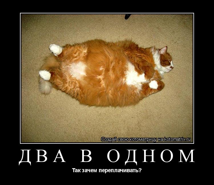 Котоматрица: Два в одном Так зачем переплачивать?