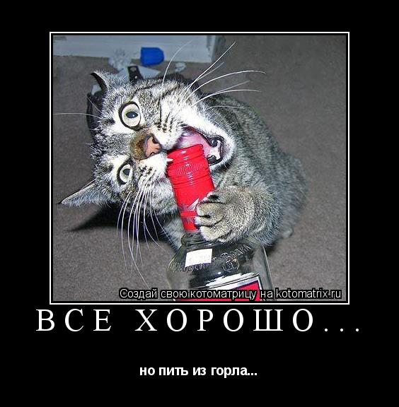 Все хорошо... но пить из горла...... Котоматрица: Все хорошо... но пить из горла...