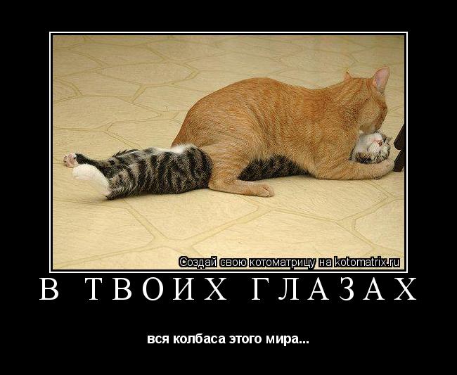 В твоих глазах вся колбаса этого мира...... Котоматрица: В твоих глазах вся колбаса этого мира...