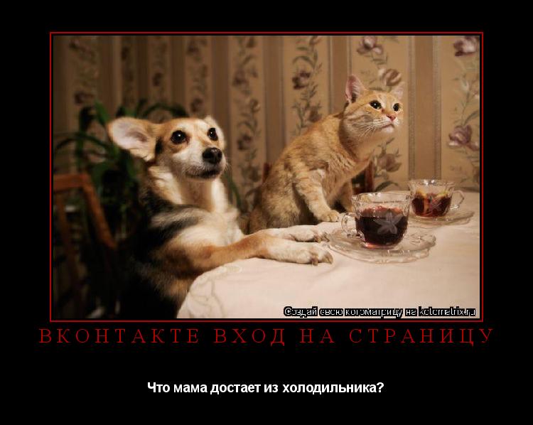 Котоматрица: вконтакте вход на страницу Что мама достает из холодильника?
