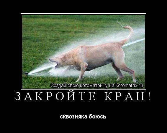Котоматрица: Закройте кран! сквозняка боюсь