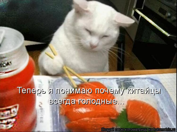Теперь я понимаю почему китайцы всегда голодные...... Котоматрица: Теперь я понимаю почему китайцы всегда голодные...