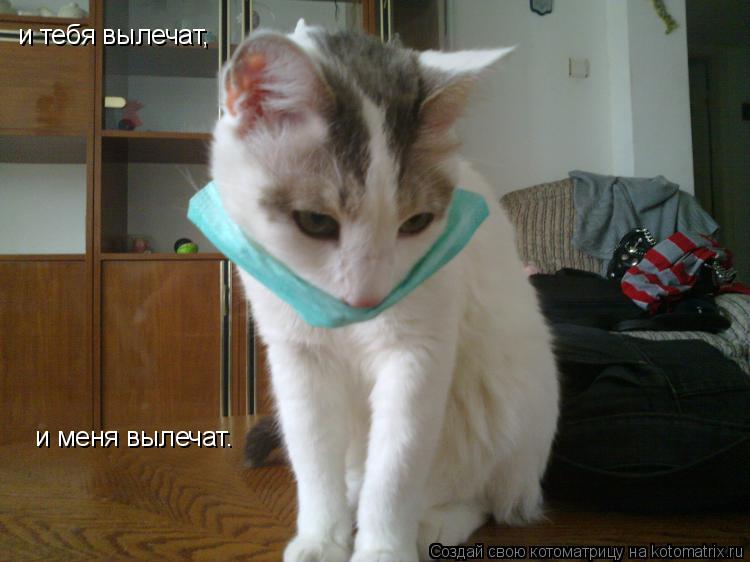 и тебя вылечат, и меня вылечат.... Котоматрица: и тебя вылечат, и меня вылечат.