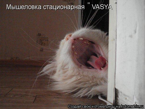 Мышеловка стационарная VASYA " "... Котоматрица: Мышеловка стационарная VASYA " "
