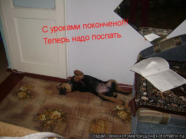 C уроками покончено!!! Теперь надо поспать.... Котоматрица: C уроками покончено!!! Теперь надо поспать.