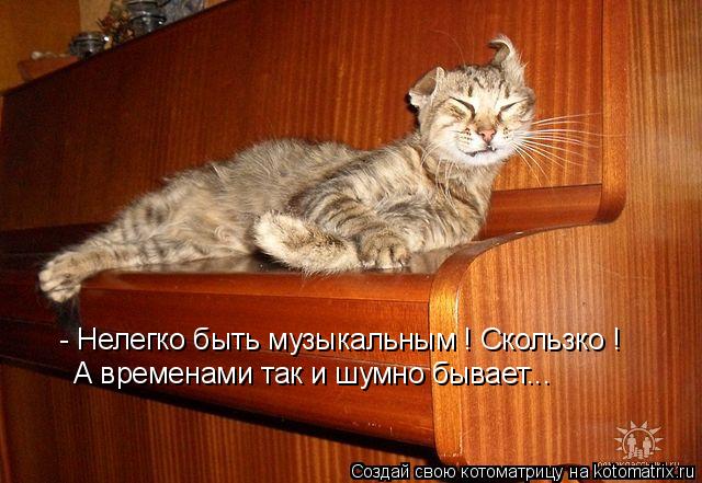 - Нелегко быть музыкальным ! Скользко ! А временами так и шумно бывает...... Котоматрица: - Нелегко быть музыкальным ! Скользко ! А временами так и шумно бывает...