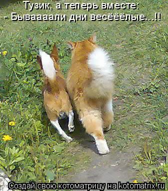 Тузик, а теперь вместе: - Бываааали дни весёёёлые...!!... Котоматрица: Тузик, а теперь вместе: - Бываааали дни весёёёлые...!!