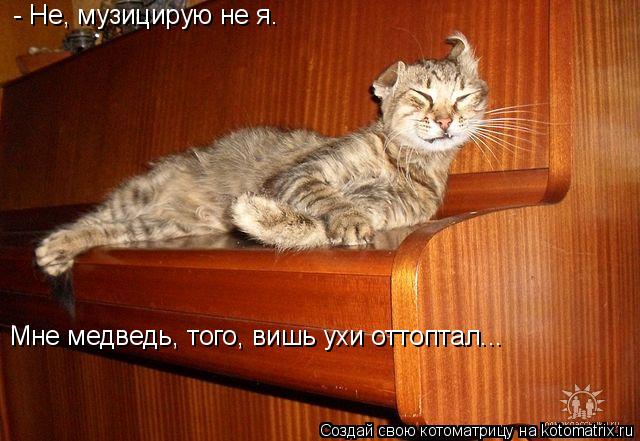 - Не, музицирую не я. Мне медведь, того, вишь ухи оттоптал...... Котоматрица: - Не, музицирую не я. Мне медведь, того, вишь ухи оттоптал...