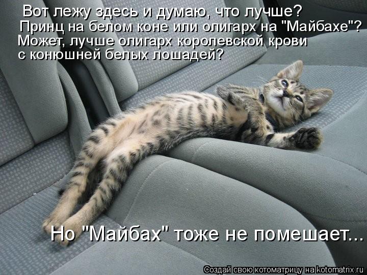 Вот лежу здесь и думаю, что лучше? Принц на белом коне или олигарх на "Майбахе"? Может, лучше олигар... Котоматрица: Вот лежу здесь и думаю, что лучше? Принц на белом коне или олигарх на "Майбахе"? Может, лучше олигарх королевской крови с конюшней белых лоша
