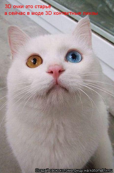 3D очки это старьё а сейчас в моде 3D контактные линзы... Котоматрица: 3D очки это старьё а сейчас в моде 3D контактные линзы