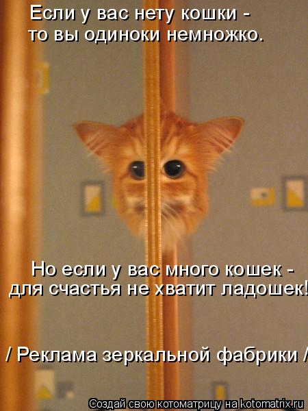 Если у вас нету кошки - то вы одиноки немножко. Но если у вас много кошек - для счастья не хватит л... Котоматрица: Если у вас нету кошки - то вы одиноки немножко. Но если у вас много кошек - для счастья не хватит ладошек! / Реклама зеркальной фабрики /