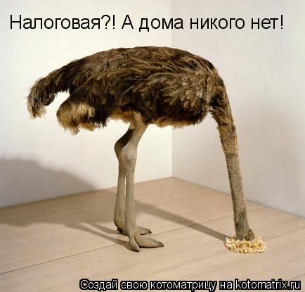 Налоговая?! А дома никого нет!... Котоматрица: Налоговая?! А дома никого нет!